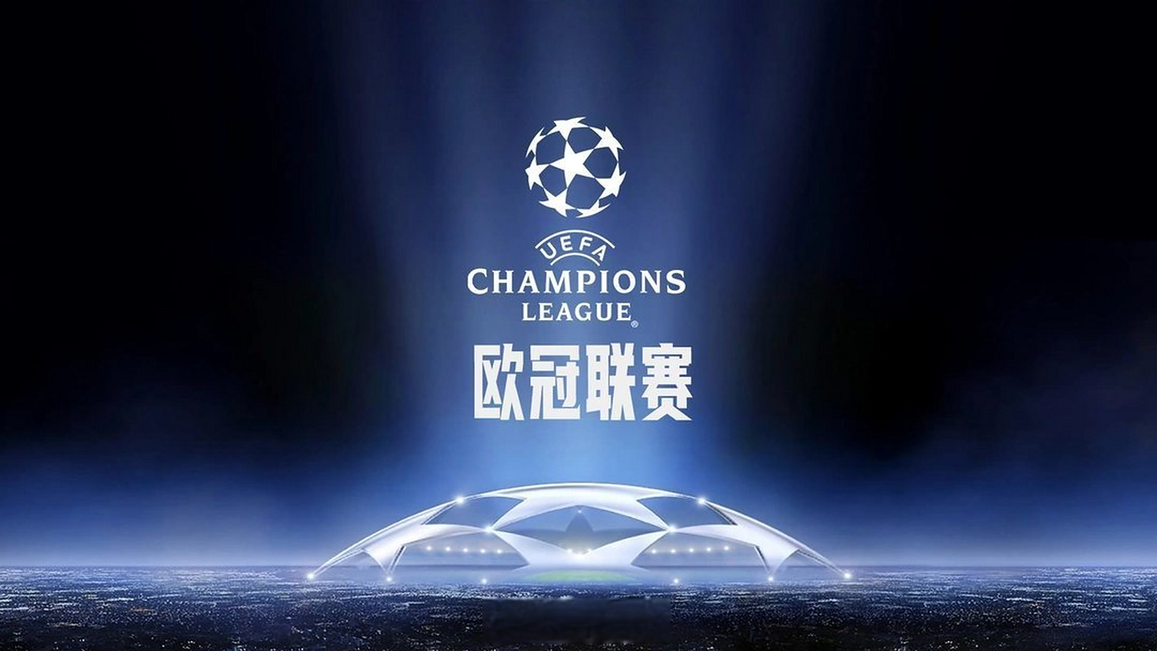 你看到的